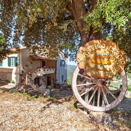 Quaint In With Garden